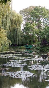 Пруд с мостиком