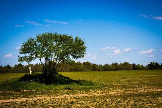 Вид на могилу с шоссе № 34