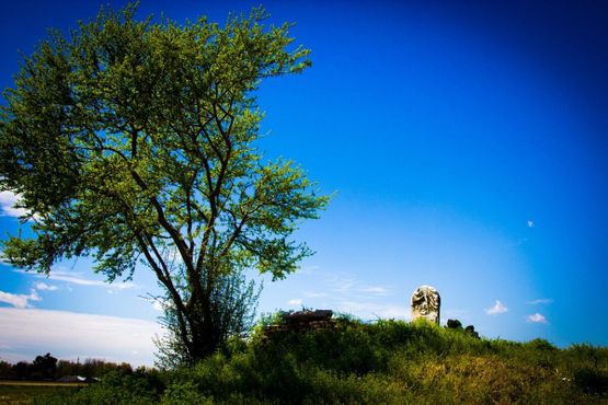 Могила Джона Реи и его лошади