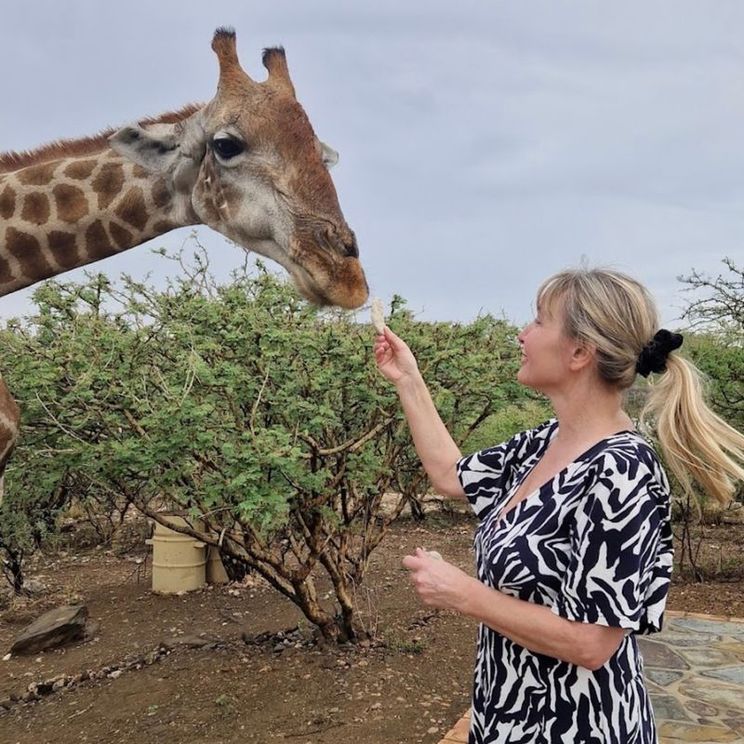 Гостевые домики, Виллы, Лоджи