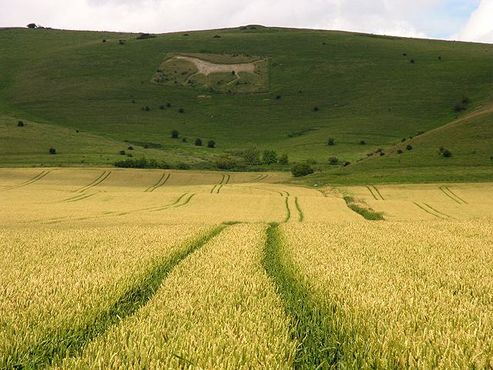 Белая лошадь Олтон-Барнса