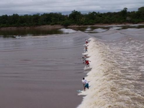 Амазонский сёрфинг