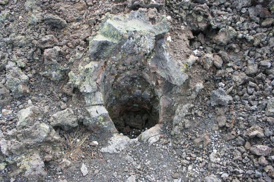 Отпечаток ствола