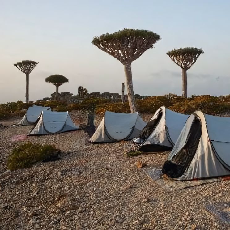 Кемпинги, Глэмпинги, Палатки