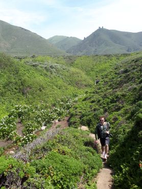 Долина калл