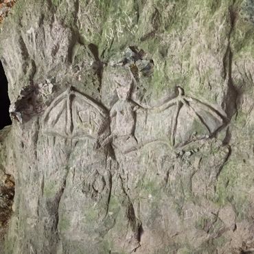 Барельеф летучей мыши в известняке пещеры Монстед Калькгрубер