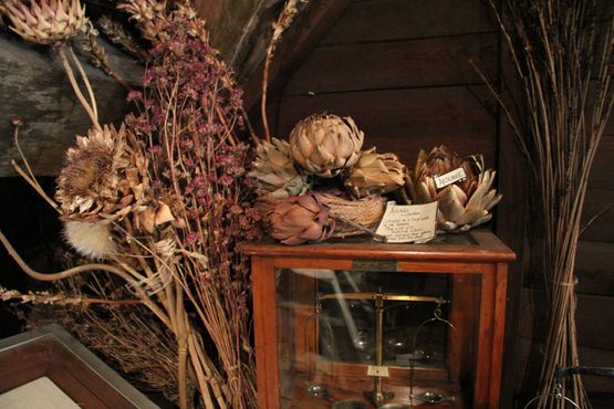 Аптекарский чердак