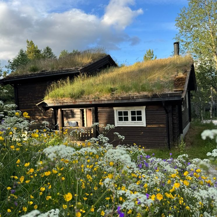 Отели 4*, Коттеджи