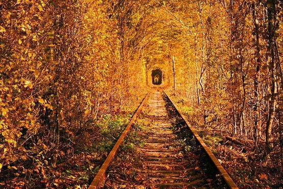 Тоннель осенью