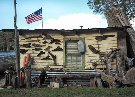 Семейный музей коряг Сайпресс-Суомп