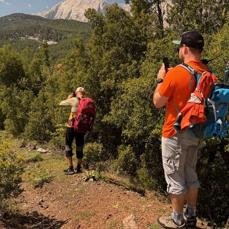 Отели 1-2*, Гостевые домики, Отели 3*, Отели 4*, Бунгало
