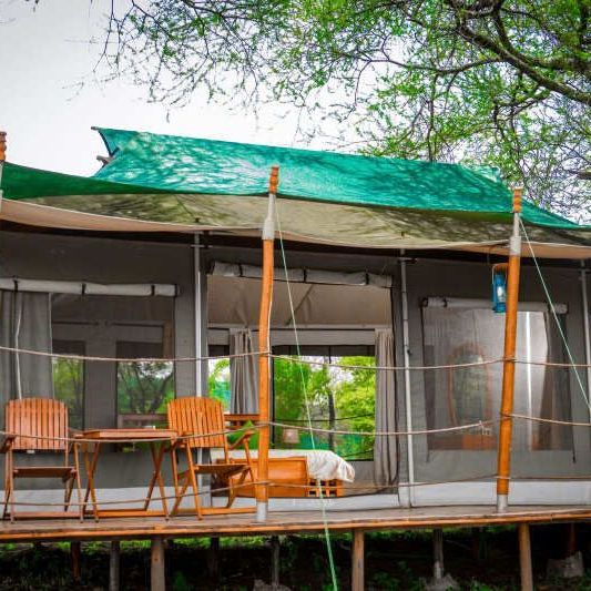 Домик, палатки