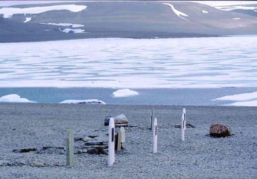 Надгробия на фоне морских льдин
