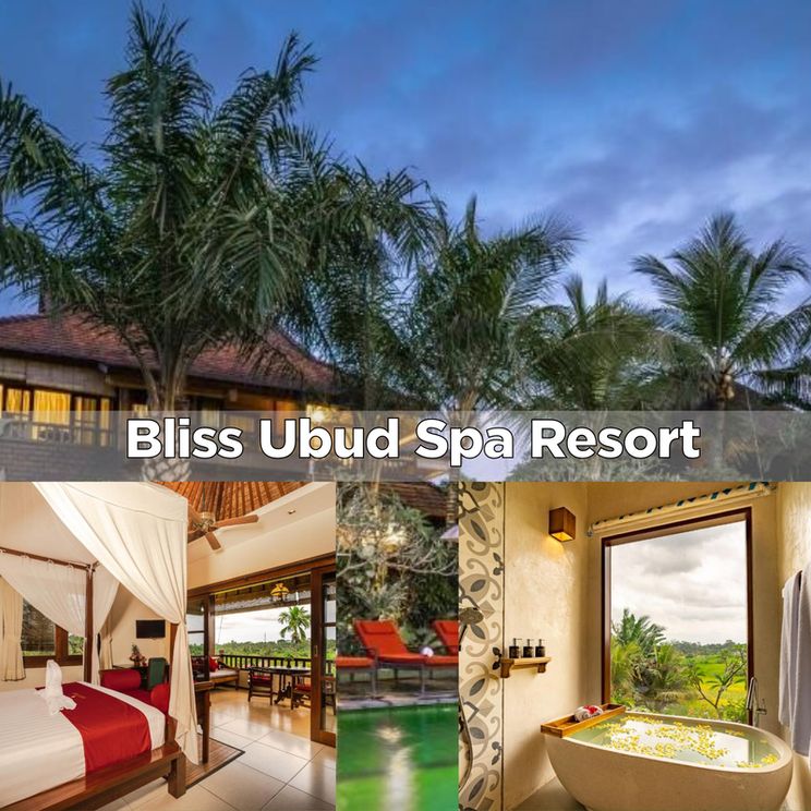 Отели 4*, Отели 5*, Виллы