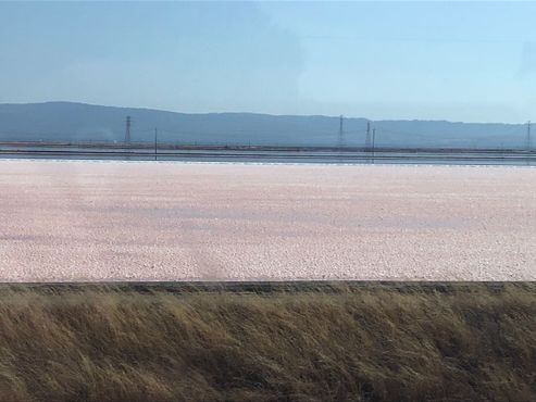 Соляные пруды залива Сан-Франциско, вид из поезда