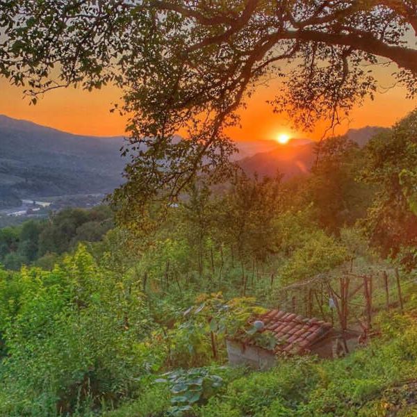 Гостевые домики, Отели 3*, Отели 4*, Коттеджи