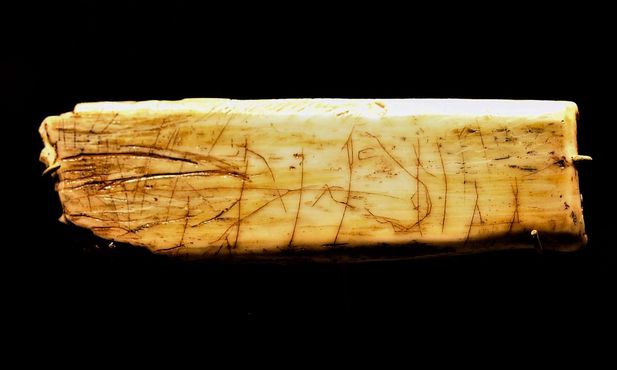 Фрагмент кости с рисунком головы лошади, нацарапанным 12000 лет назад, найденный в пещере Робин Гуда