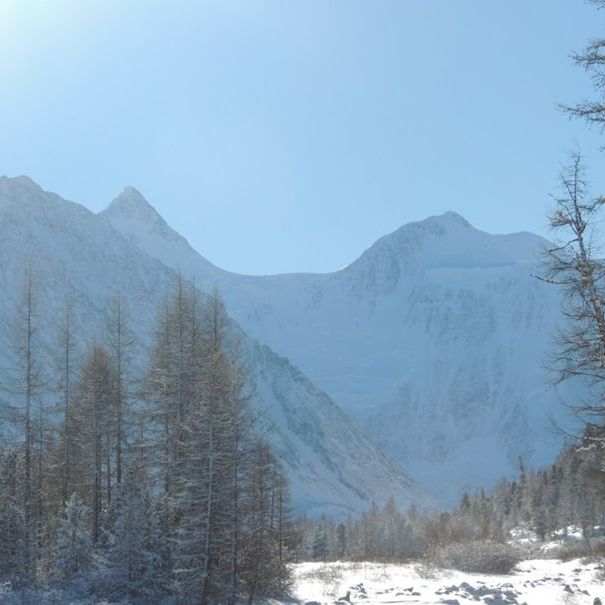 Гостиницы 1-2*, Хижина