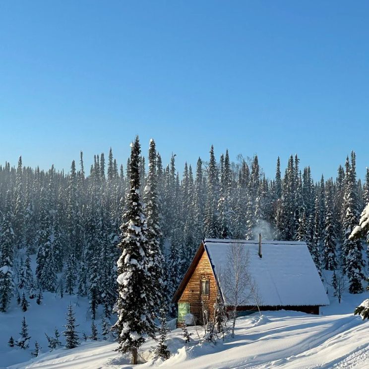 Гостевые домики