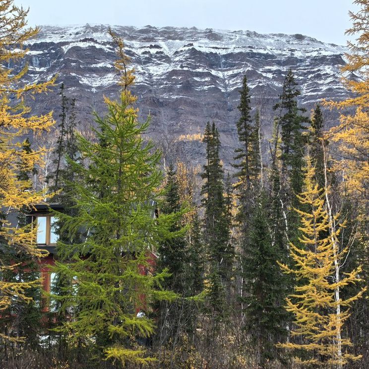 Гостевые домики
