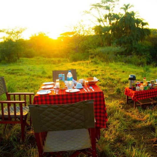 Домик, палатки