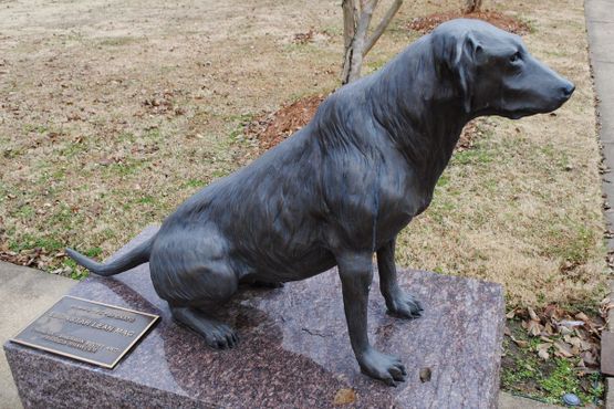 Национальный музей охотничьих собак