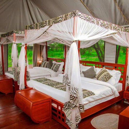 Домик, палатки