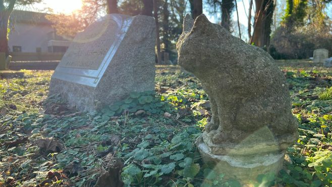 Кладбище домашних животных Клара-Глен