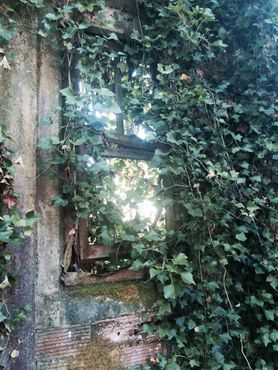 Бордо, штат Вашингтон