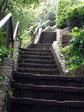 Знаменитая лестница Филберт, окруженная пышными садами