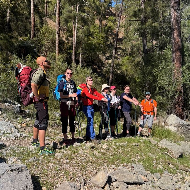 Отели 1-2*, Гостевые домики, Отели 3*, Отели 4*, Бунгало