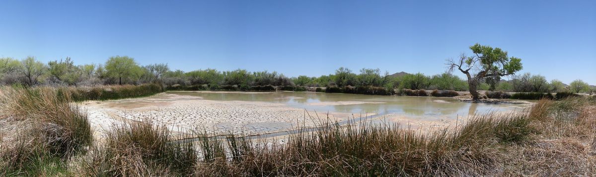 Источник Китобакито