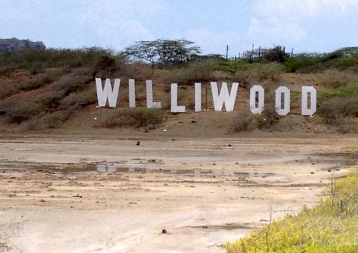 Знак Williwood 