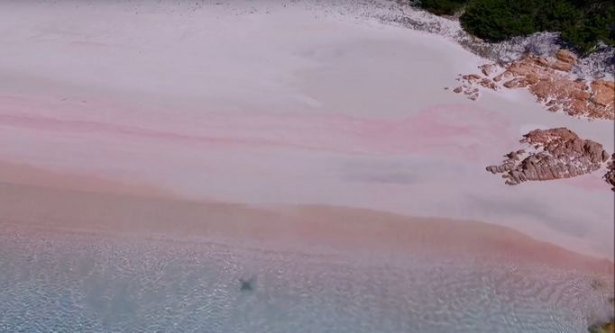 Розовый пляж с высоты птичьего полёта
