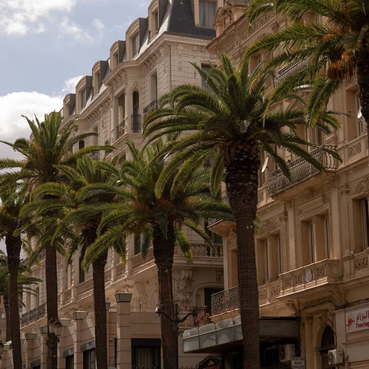 Отели 4*, Палатки