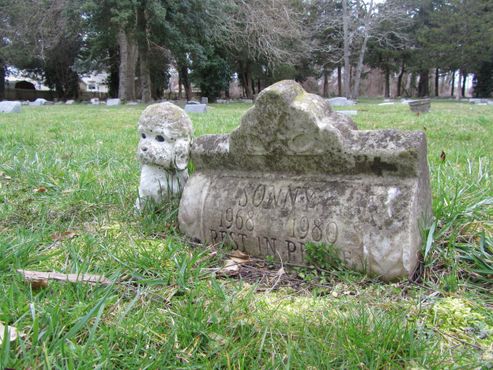 Кладбище домашних животных Клара-Глен