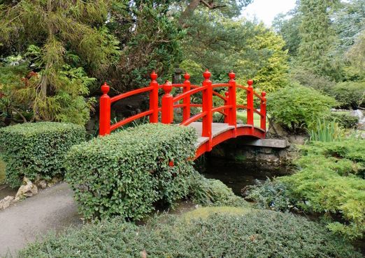 Мост в японский саду