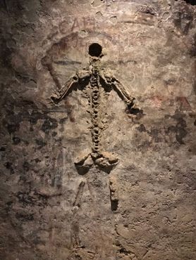 Останки тела запечатаны в стену катакомб
