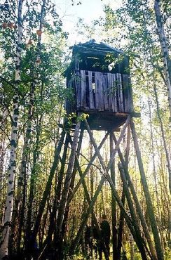 Сторожевая башня близ Туруханска, 503-й трудовой лагерь, строивший Мертвую дорогу