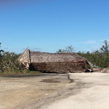 Поваленная ураганом башня