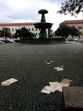 Бронзовые листовки «разбросаны» по всей площади