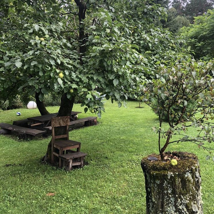 Гостевые домики