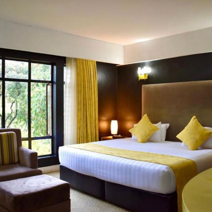 Кемпинги, Отели 4*, Лоджи