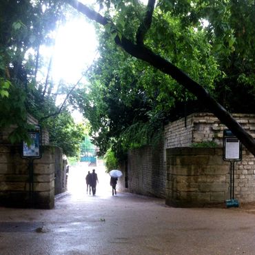 Вход на арену