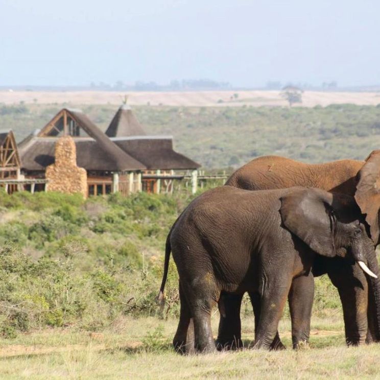 Отели 4*, Апартаменты, Виллы, Лоджи