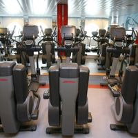 Allure of the Seas (28/39)