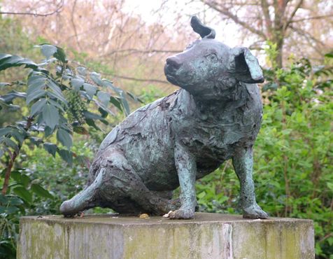 Памятник Коричневой собаке