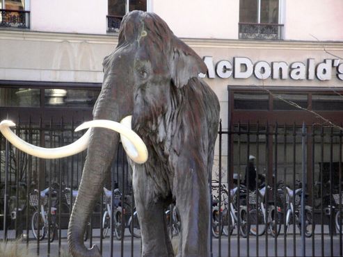 Галерея сравнительной анатомии и палеонтологии