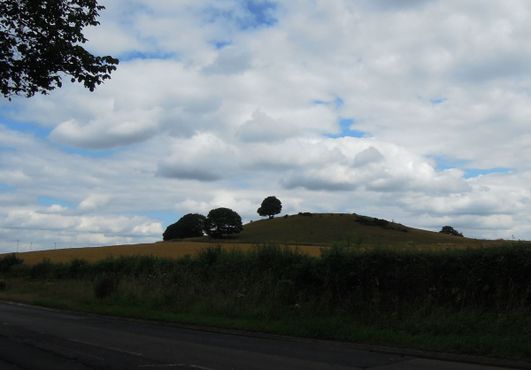 Холм Гамильтон