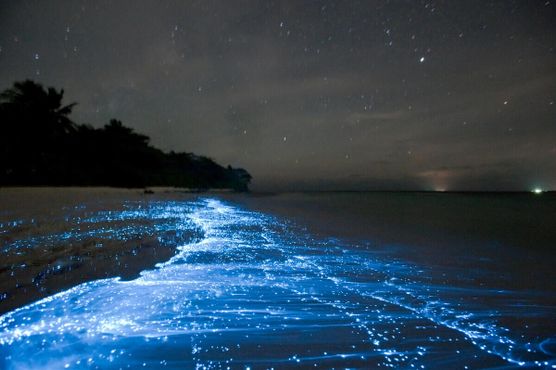 Биолюминесценция светящегося планктона у острова Вааду на Мальдивах